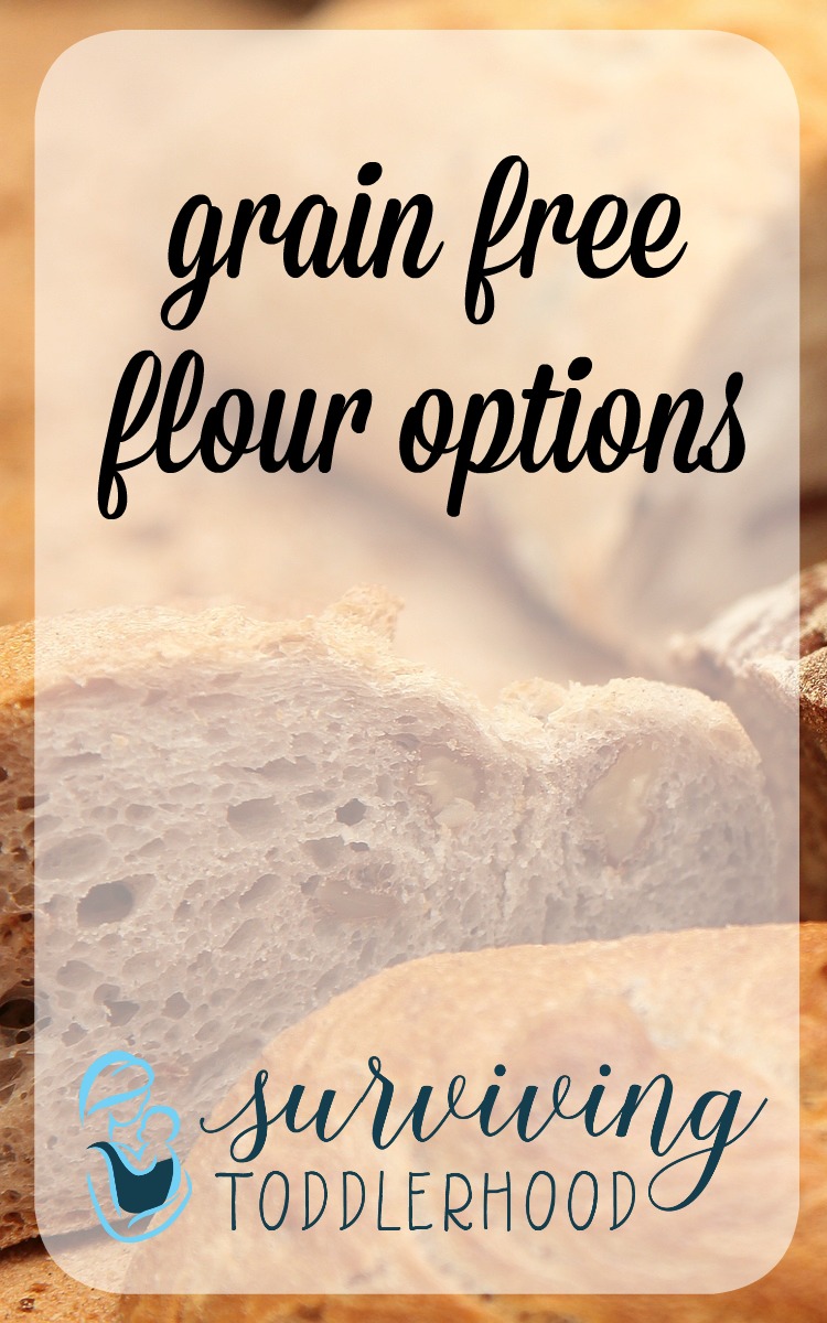 Grain Free Flour Options {not all are Paleo}