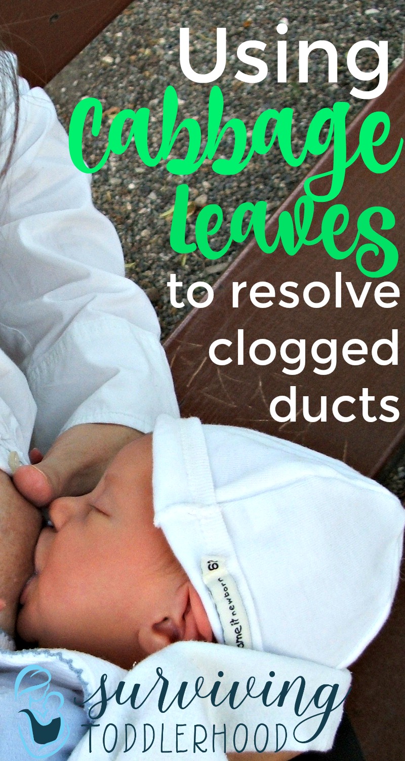 Breastfeeding Tips Cabbage Leaves to Resolve Clogged Milk Ducts