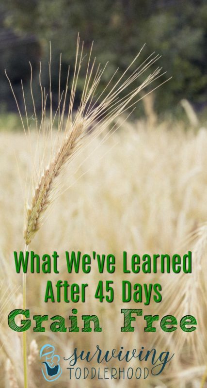What We've Learned After 45 Days Grain Free. Thinking about trying a grain free diet? Here is how a grain free diet has affected our toddler and myself after one and a half months. #paleoish #grainfree #grainfreerecipes #gaps #glutenfree #autoimmunedisease  | Hashimotos | Candida Diet | Grain Free Diet | Grain Free Recipes | GAPS
