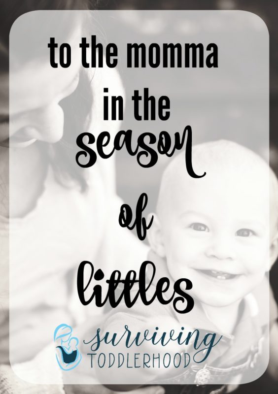 to the momma in the season of littles