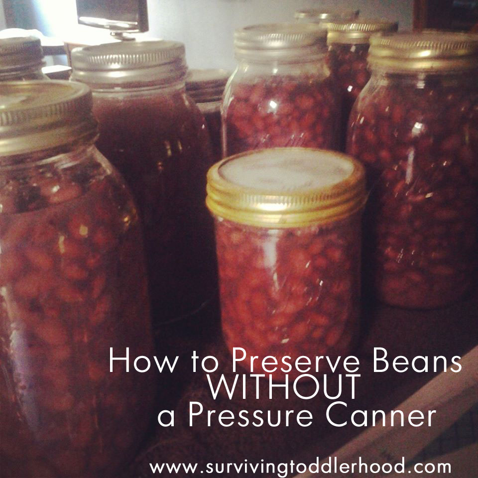 How to Preserve Beans WITHOUT a Pressure Canner