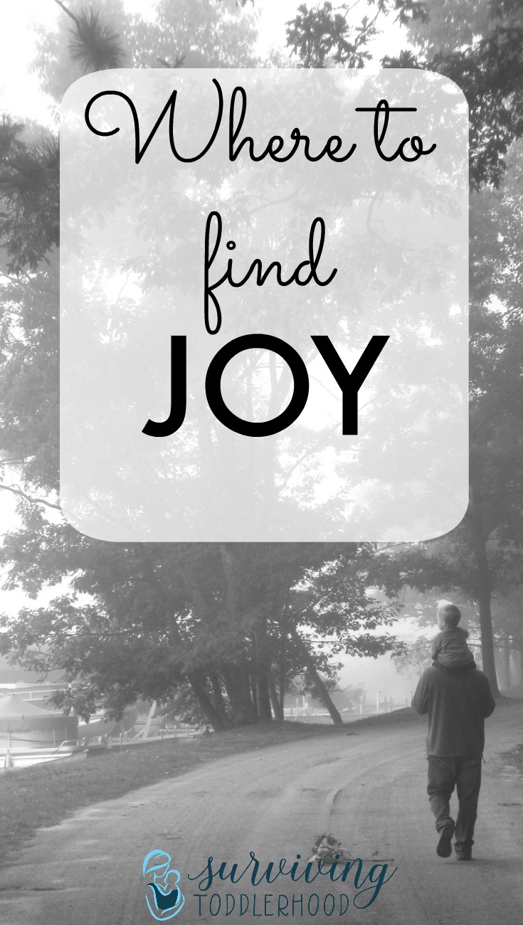 Where to find Joy. What makes you happy as a momma? What fills your mother heart with Joy?