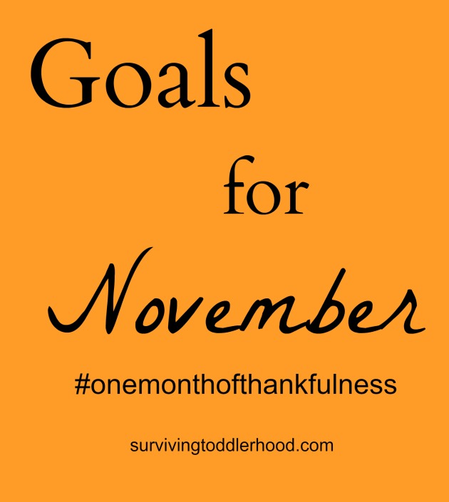 Goals for November and Instagram Challenge
