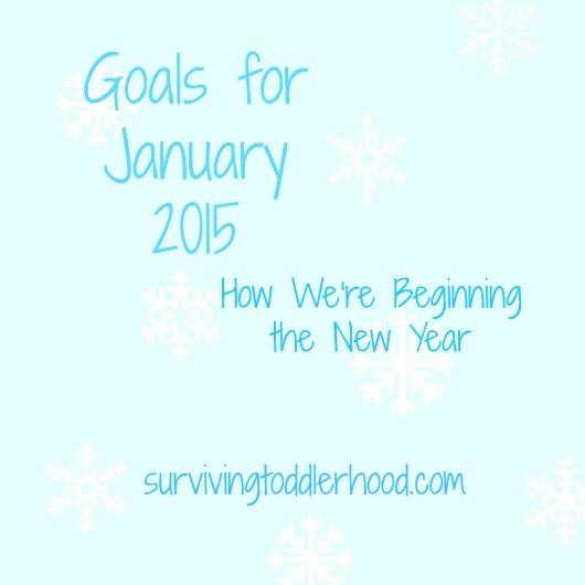 January Goals: What We Did and Didn't Do
