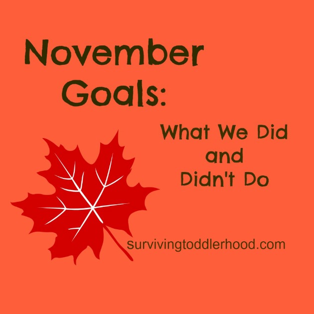 November Goals: What We Did and Didn't Do