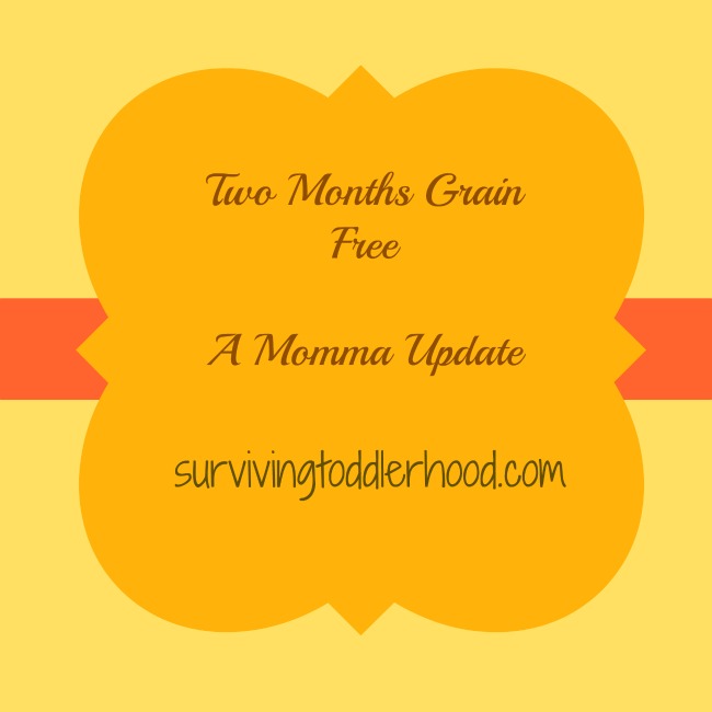 Two Months Grain Free: A Momma Update