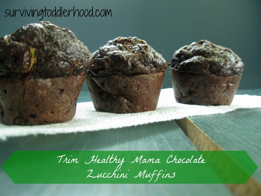 Chocolate Zucchini Flax Muffins {Gluten Free, Grain Free, Sugar Free, GAPS, Trim Healthy Mama, Low Carb}