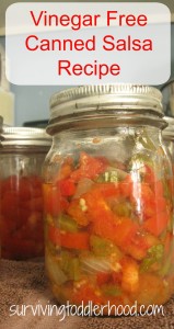 Finally! A canned salsa recipe that doesn't taste like vinegar! It almost could pass as fresh if you ignore the fact that the vegetables are all cooked. :-)