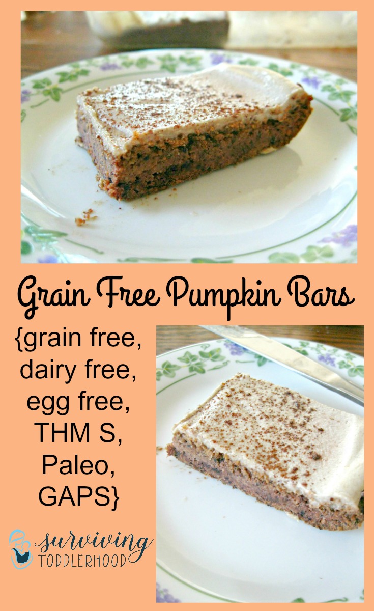 Low Carb Pumpkin Bars {grain free, egg free, low sugar, THM, Paleo, and GAPS legal