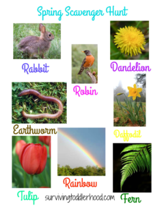 A Spring Scavenger Hunt for You and Your Little Ones. Toddlers, preschoolers and kindergarteners will all have fun with this outdoor activity. You can use it as a unit study in Science as well.