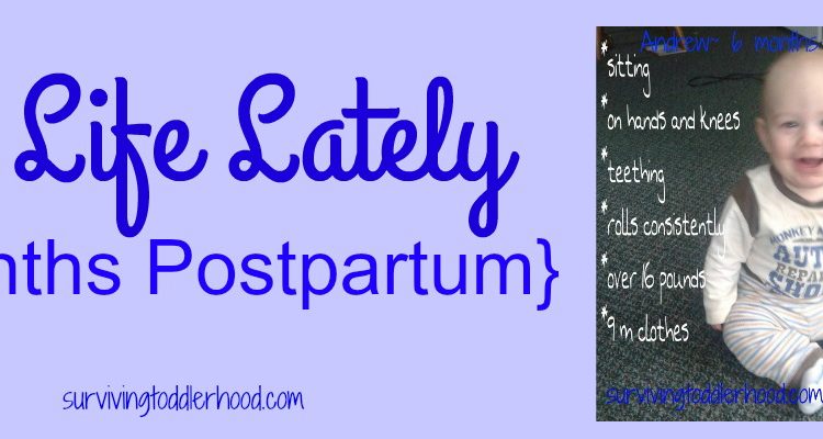 Our Life Lately {6 Months Postpartum}