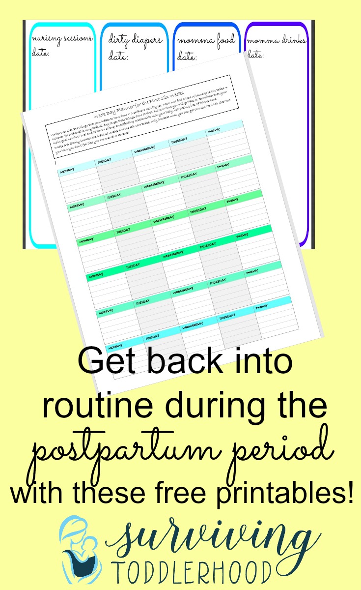 2 FREE PRINTABLES to help you as you get back into routine during the postpartum period. One weekday schedule to write down things that NEED to be done and another nursing chart to help you pinpoint any possible problems and also to show your pediatrician if they are worried.