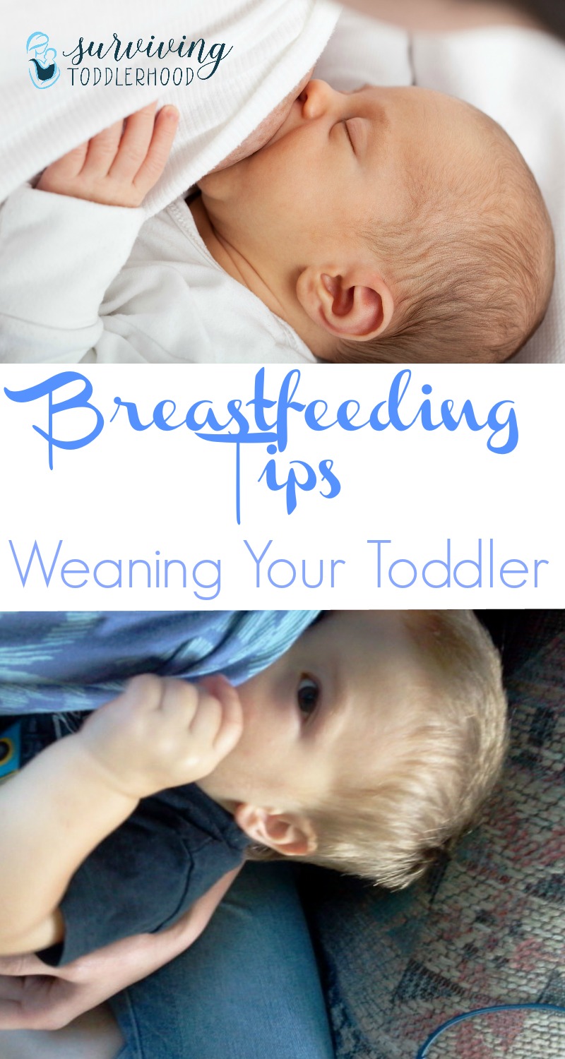 Ready to wean your breastfed toddler? Here are two experiences + tips to help you as you slowly wean your toddler from nursing. Motherhood | Breastfeeding Tips | Toddlers |Toddlerhood | Mothering | Parenting Tips | Breastfeeding Help | Crunchy Moms | Natural Parenting | Weaning Tips