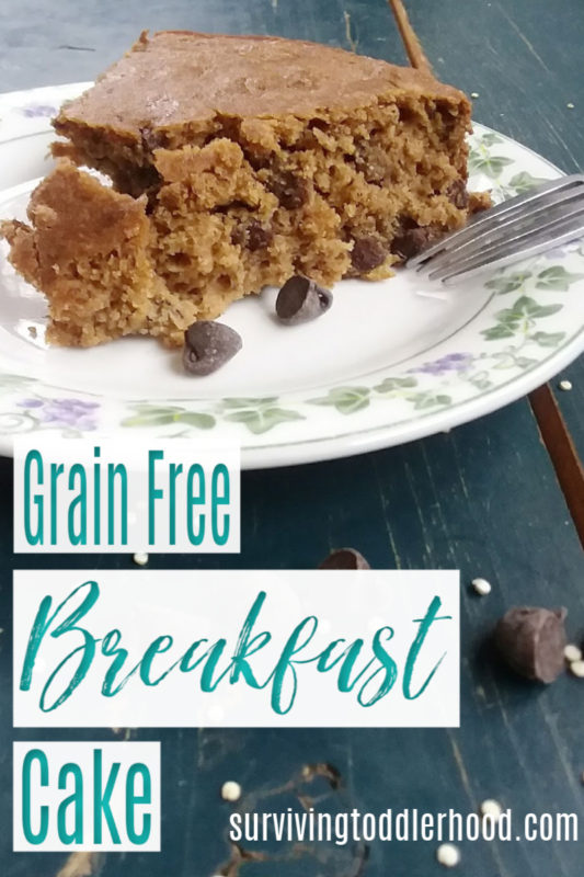 Grain Free Breakfast Cake {We call it breakfast cake because I decided to serve it for breakfast one day :-) } #grainfreebaking #grainfreecake #grainfreecakerecipe #paleoish #glutenfreebananacake #glutenfreebaking #glutenfreecake